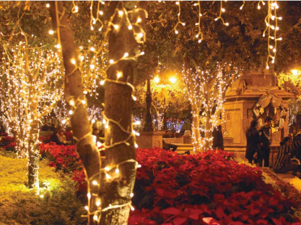 Navidad en Querétaro andadores iluminados