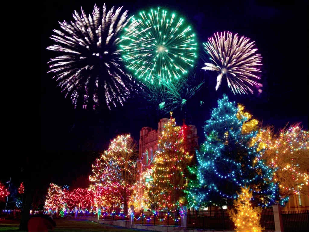 Navidad en Querétaro árboles con luz