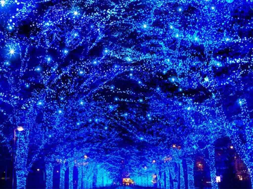 Lights of Japan