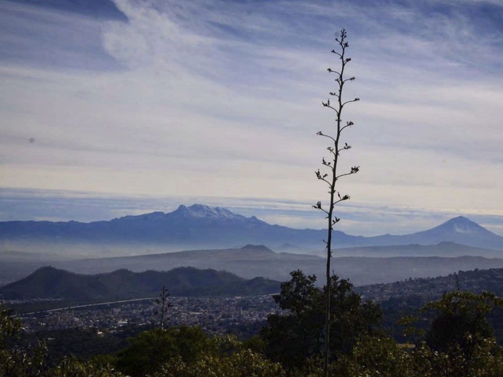 parque el ajusco cdmx