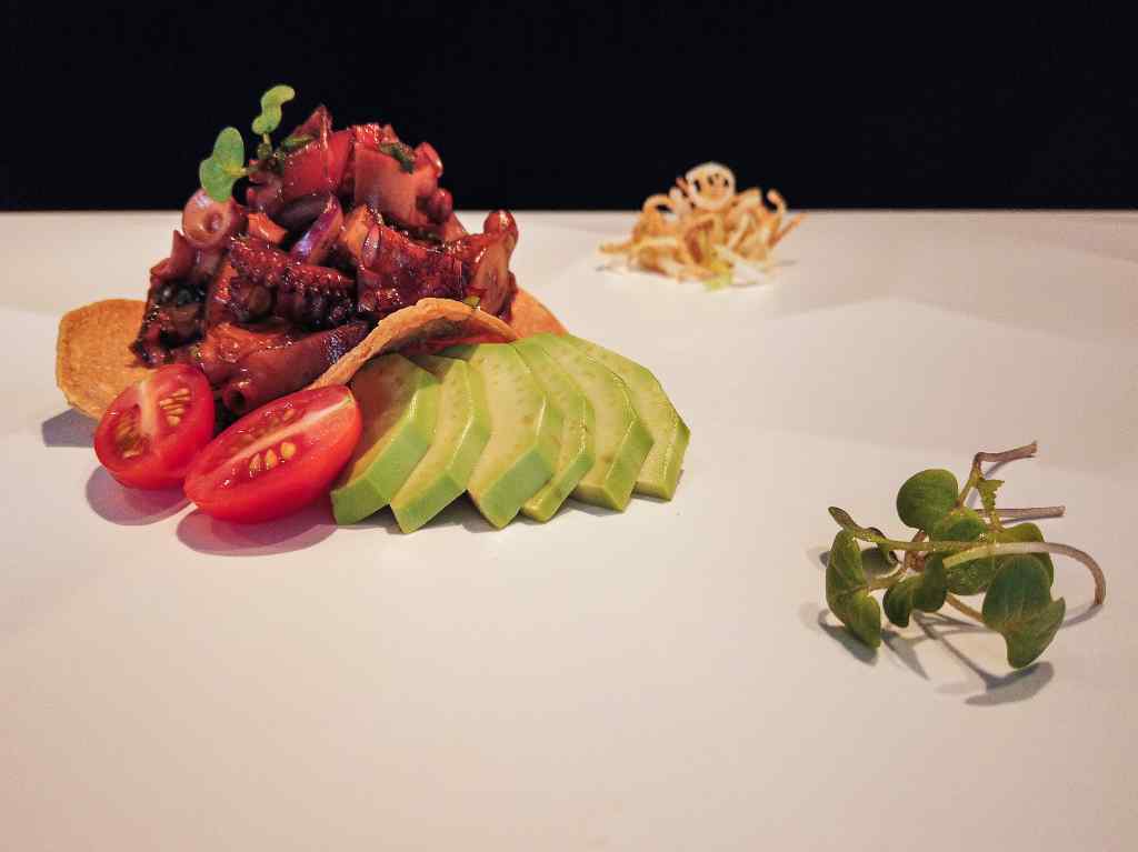 rincon-argentino-tostada-de-pulpo