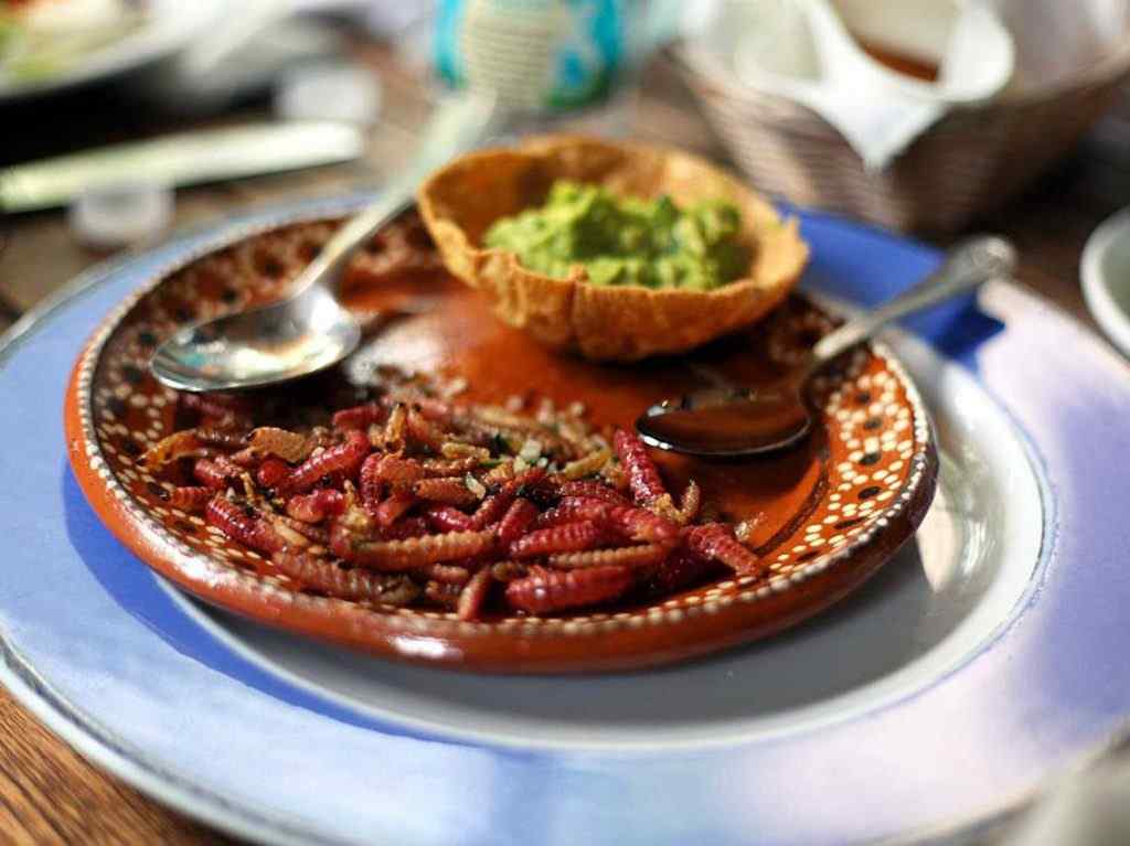 Aprende a hacer tamales con insectos para el Día de la Candelaria 0