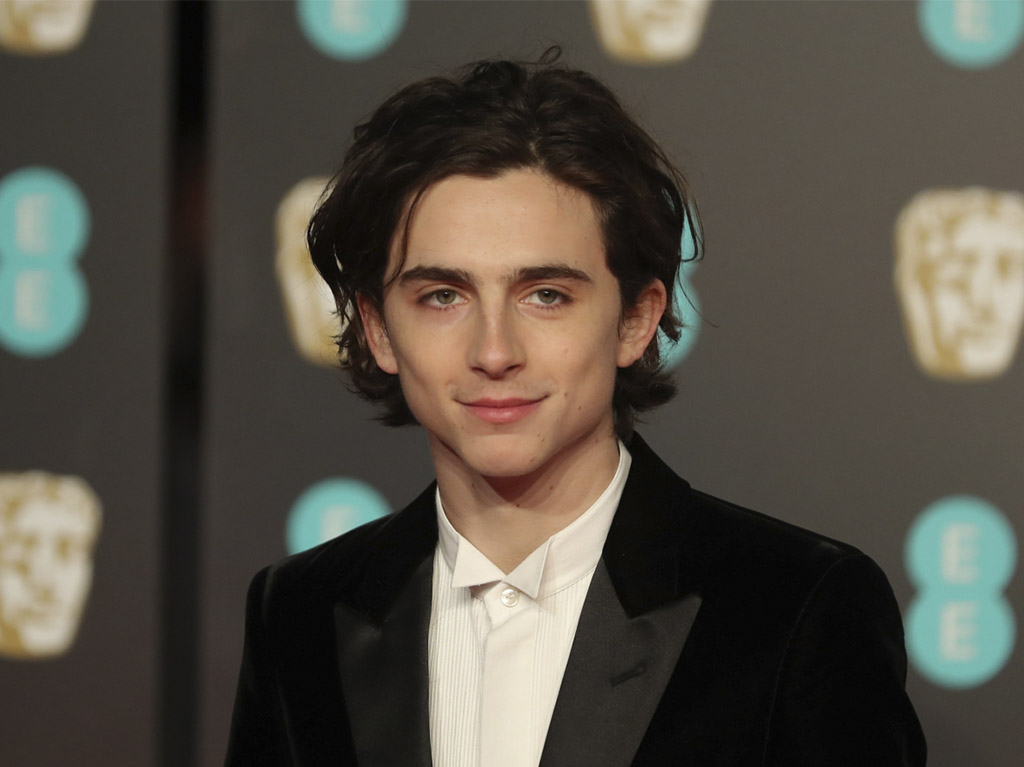 Timothée Chalamet será Bob Dylan en el cine