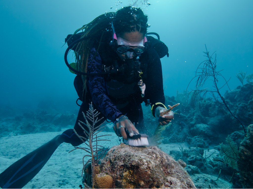 corales-viaje-bahamas-airbnb