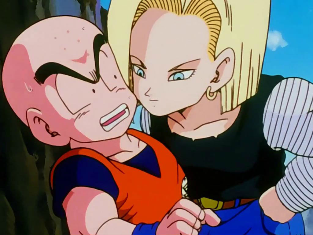 Dragon Ball Experience cumple 35