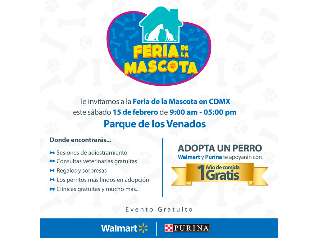 ¿Quieres adoptar un perrito? ¡Te decimos dónde! 1