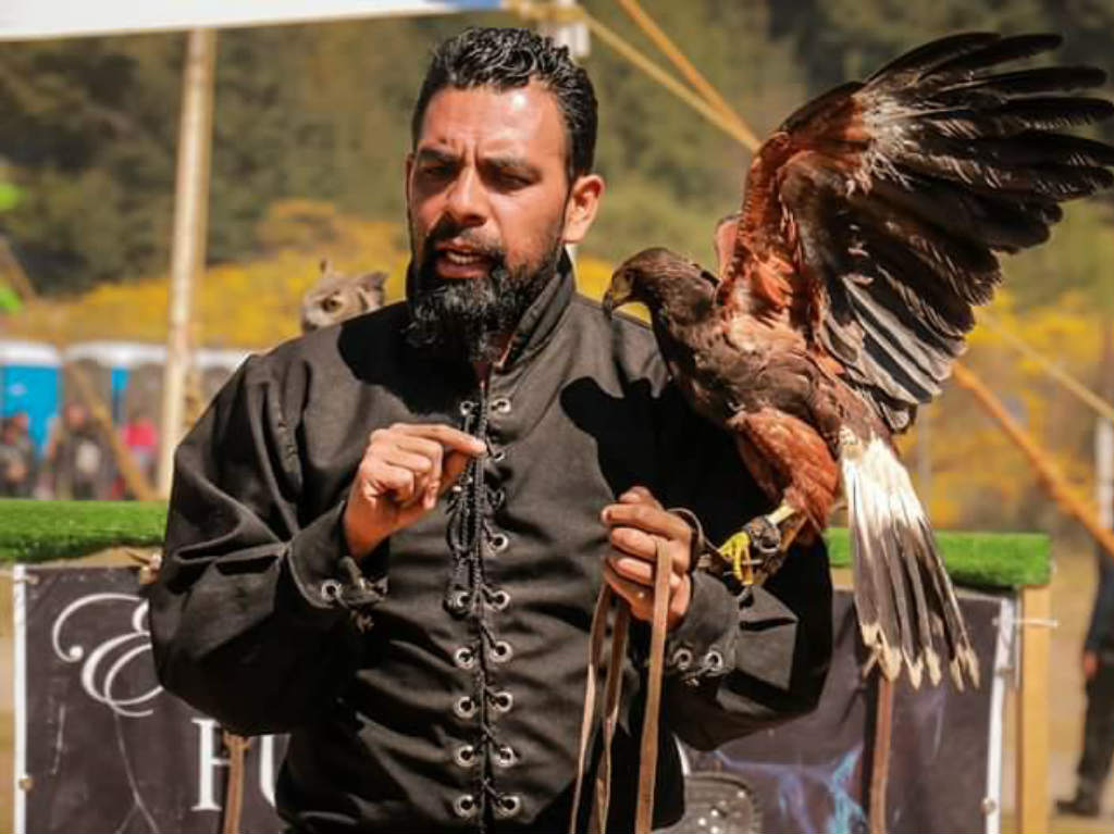 Festival Medieval en la Marquesa cetrería