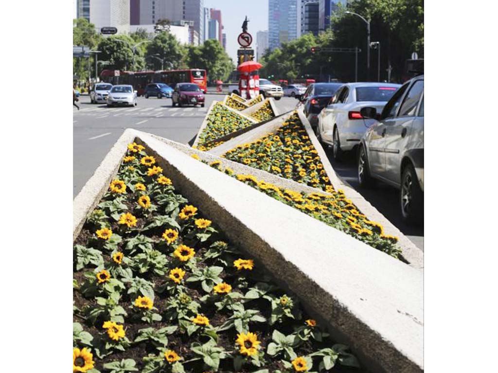 Girasoles en Reforma por la llegada de la exposición de Van Gogh