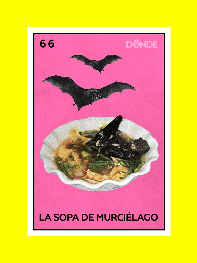 Cuenta la leyenda que un chino que comió unos noodles con carne de murciélago fue el primero en contagiarse de Covid-19. Hay muchas teorías, peero por si las dudas: No comas murciélagos, por favor.