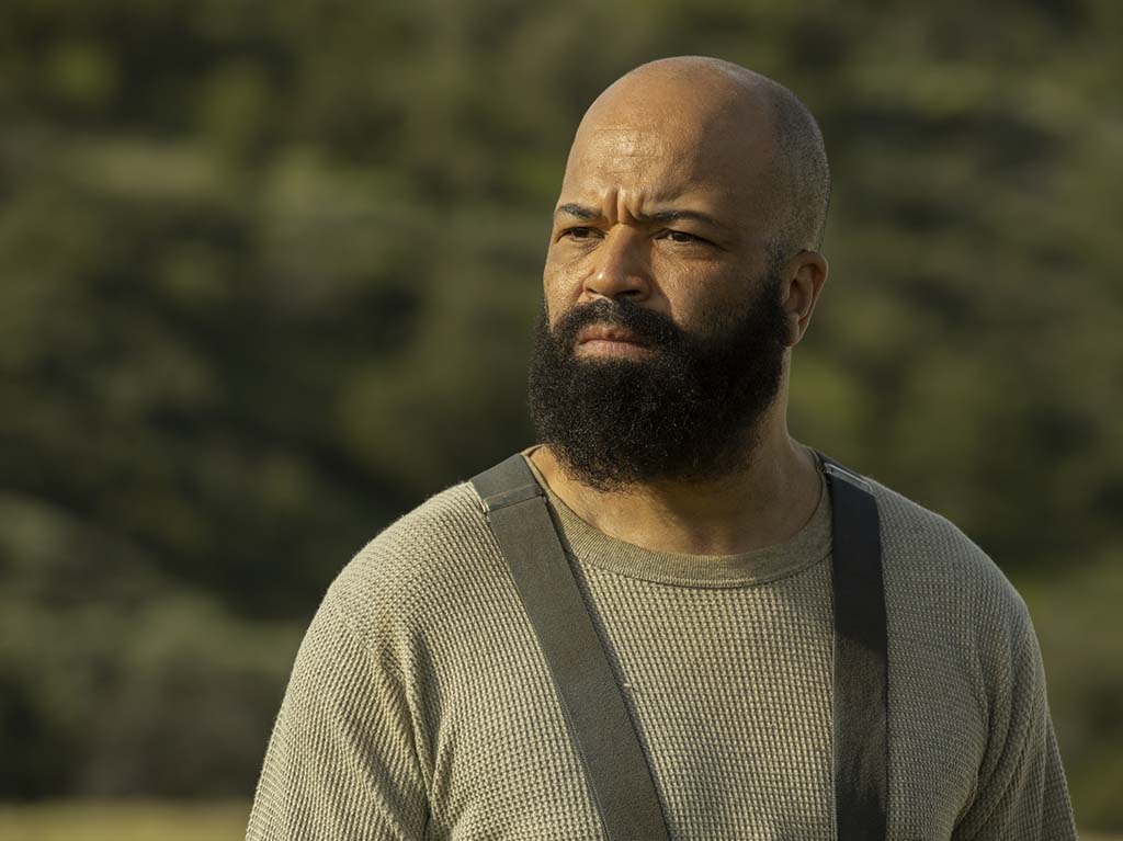 westworld jeffrey wright