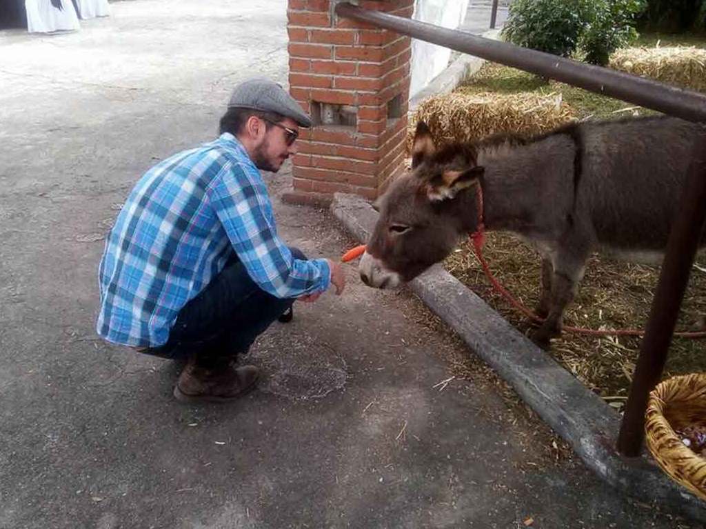 burrolandia burro cafe