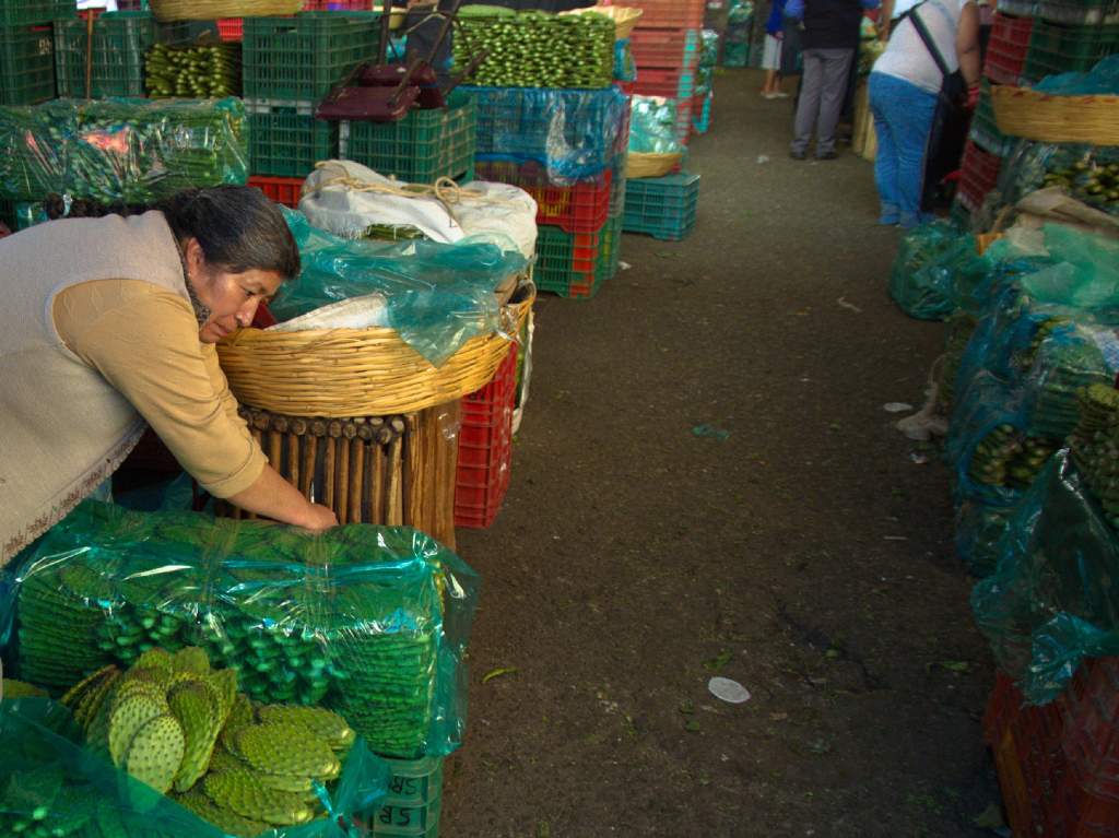 Central de Abasto nopales