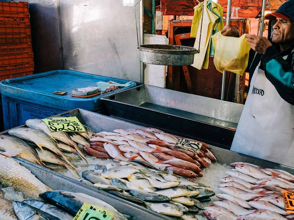 Central de Abasto pescado