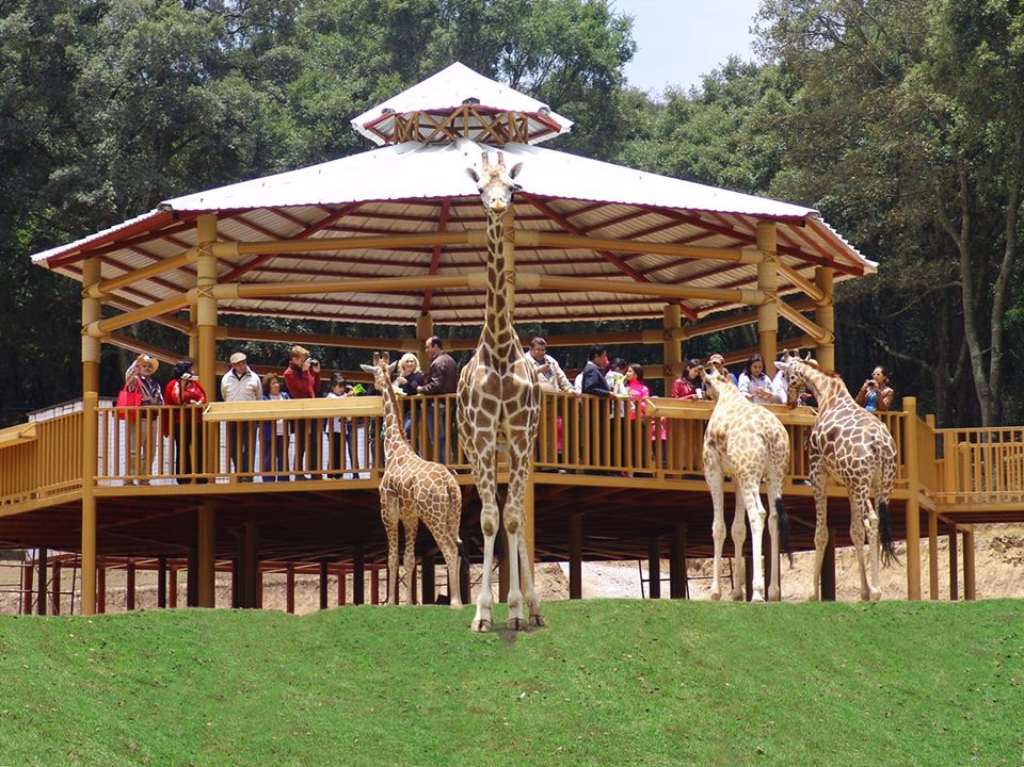 Ayuda al Bioparque Estrella a preservar su fauna 1