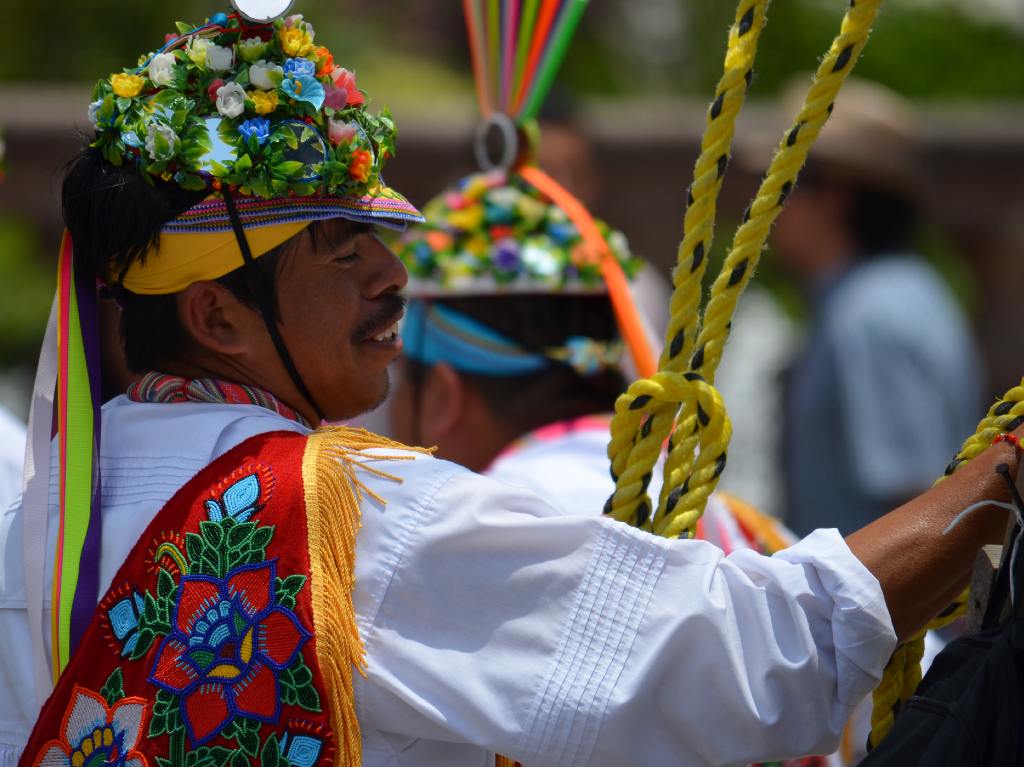 Feria Nacional de San Marcos flores