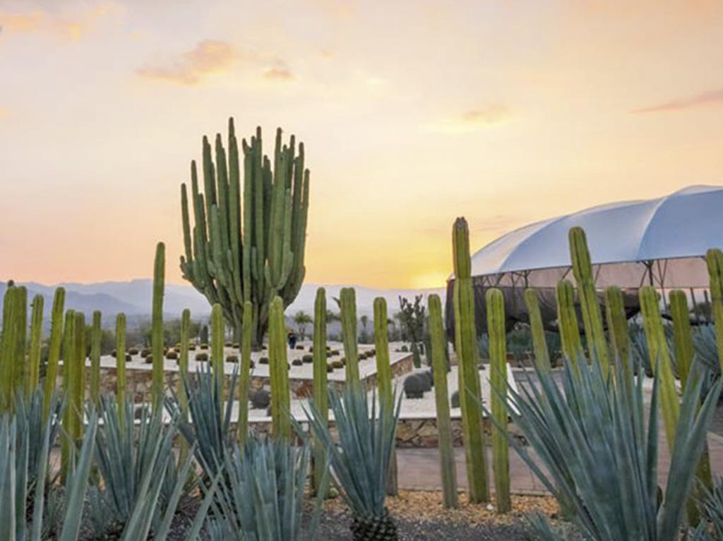 jardines de mexico