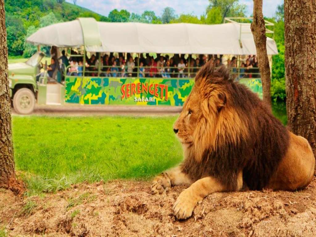 Ayuda al Bioparque Estrella a preservar su fauna 2