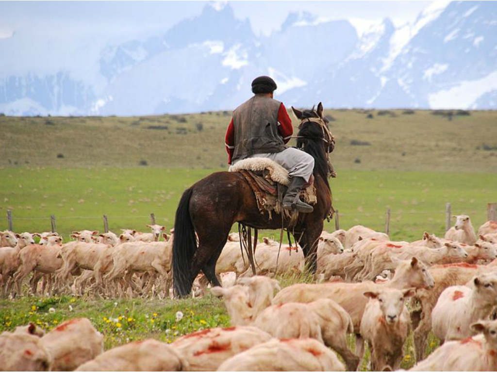 ljuis sepulveda, comida para gauchos