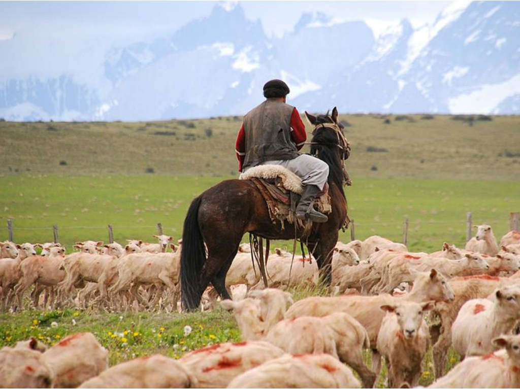 Luis Sepúlveda: comida para gauchos