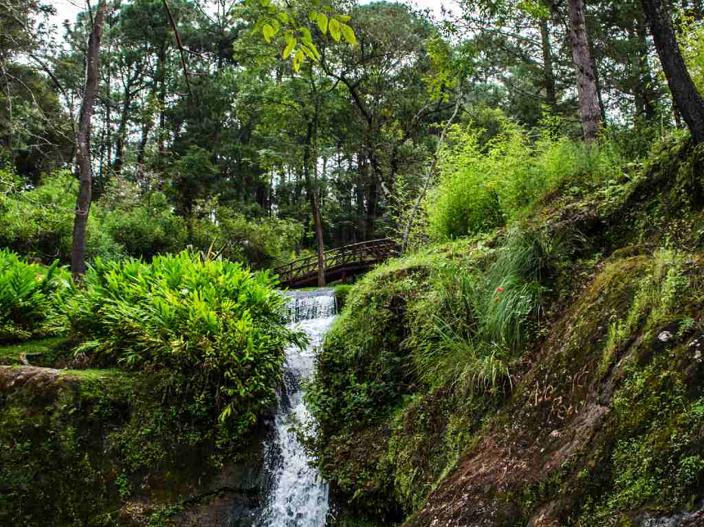 Mazamitla río