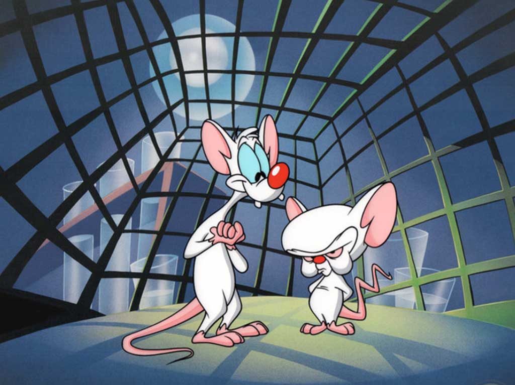 pinky y cerebro regresan