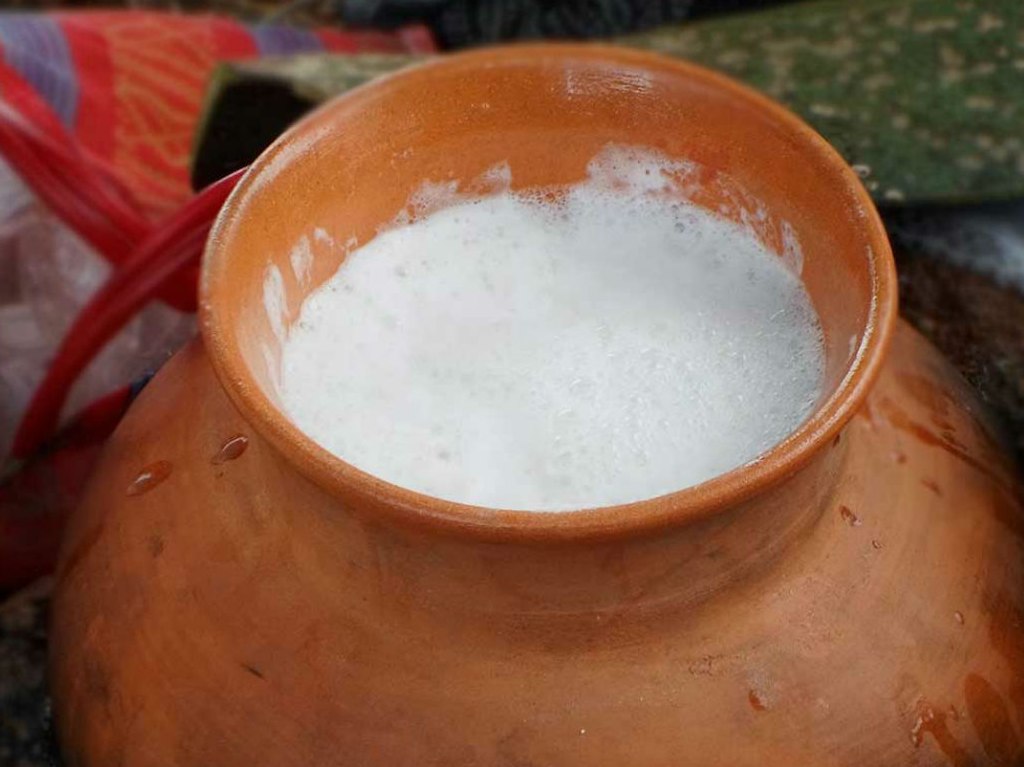 pulque a tu casa avena