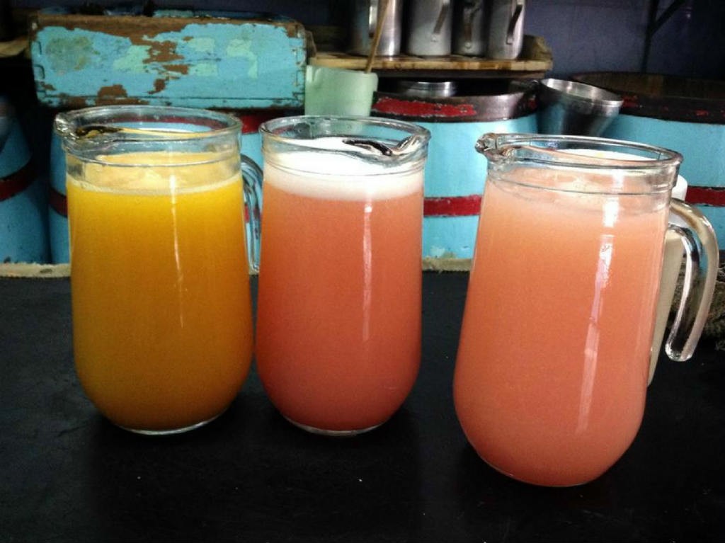 pulque a tu casa sabores