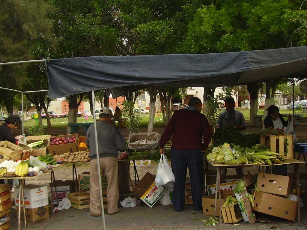 Cierran los tianguis de CDMX 