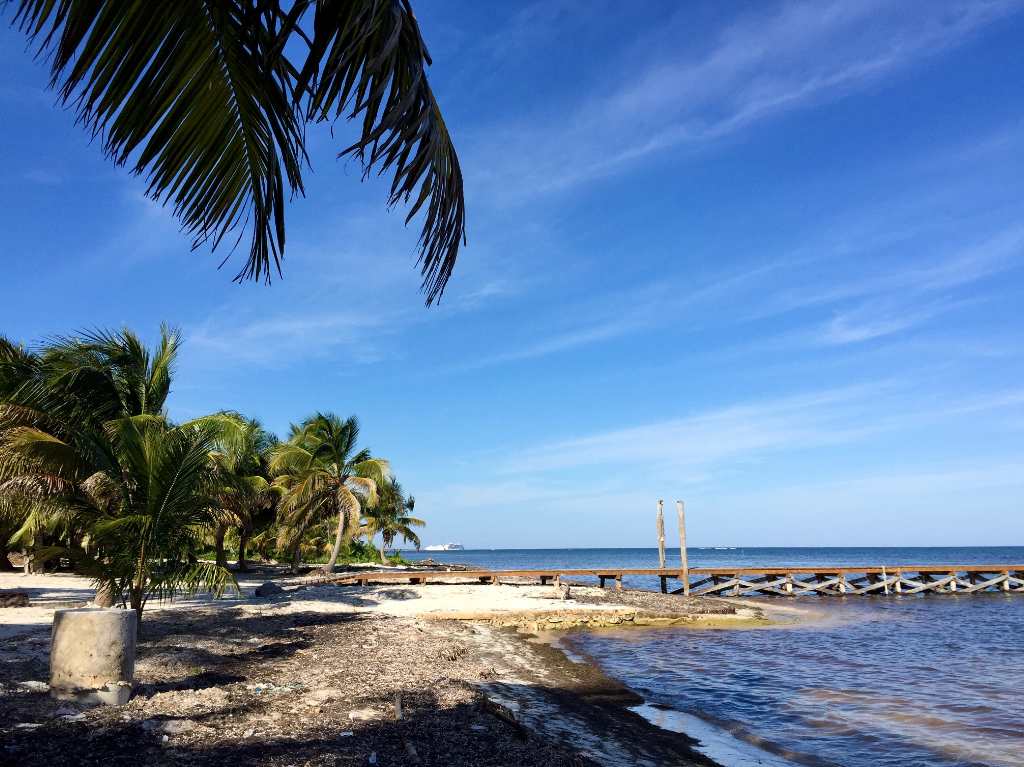 Cozumel puerto palmeras