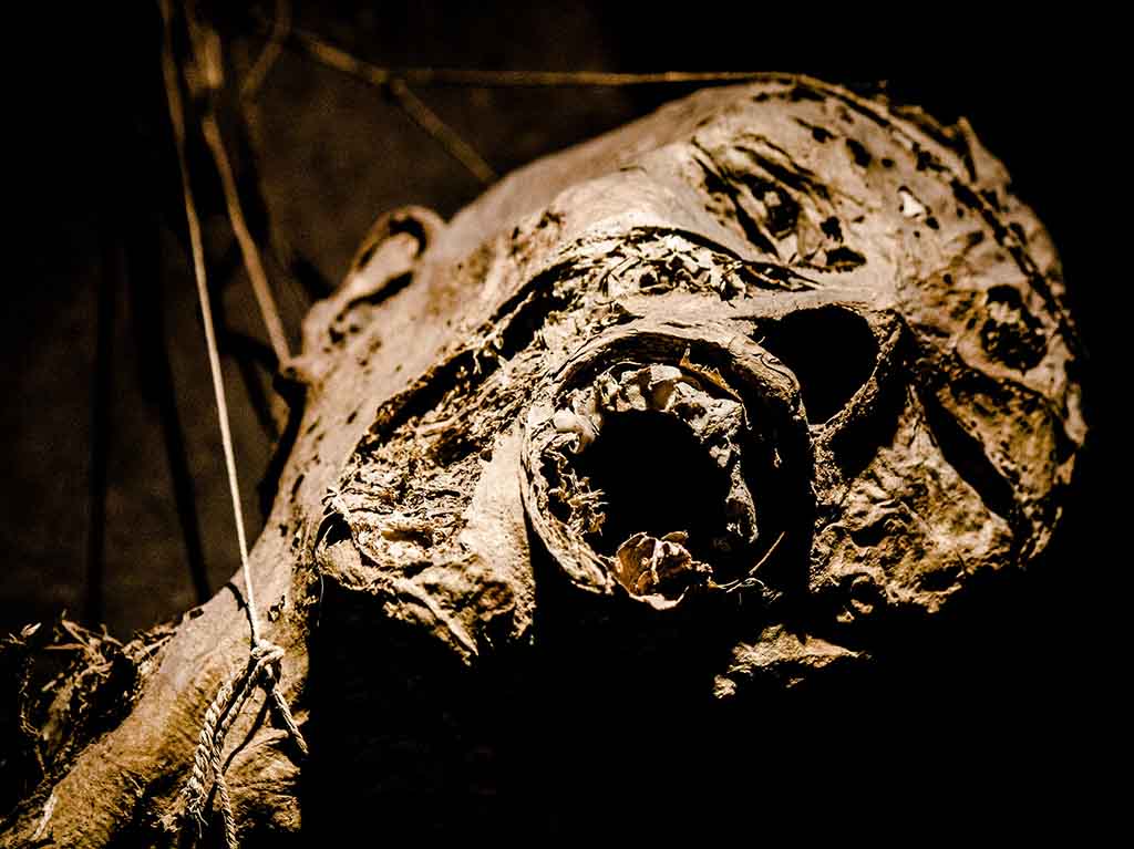 ¡Desaparecen de forma misteriosa 22 momias en Guanajuato!