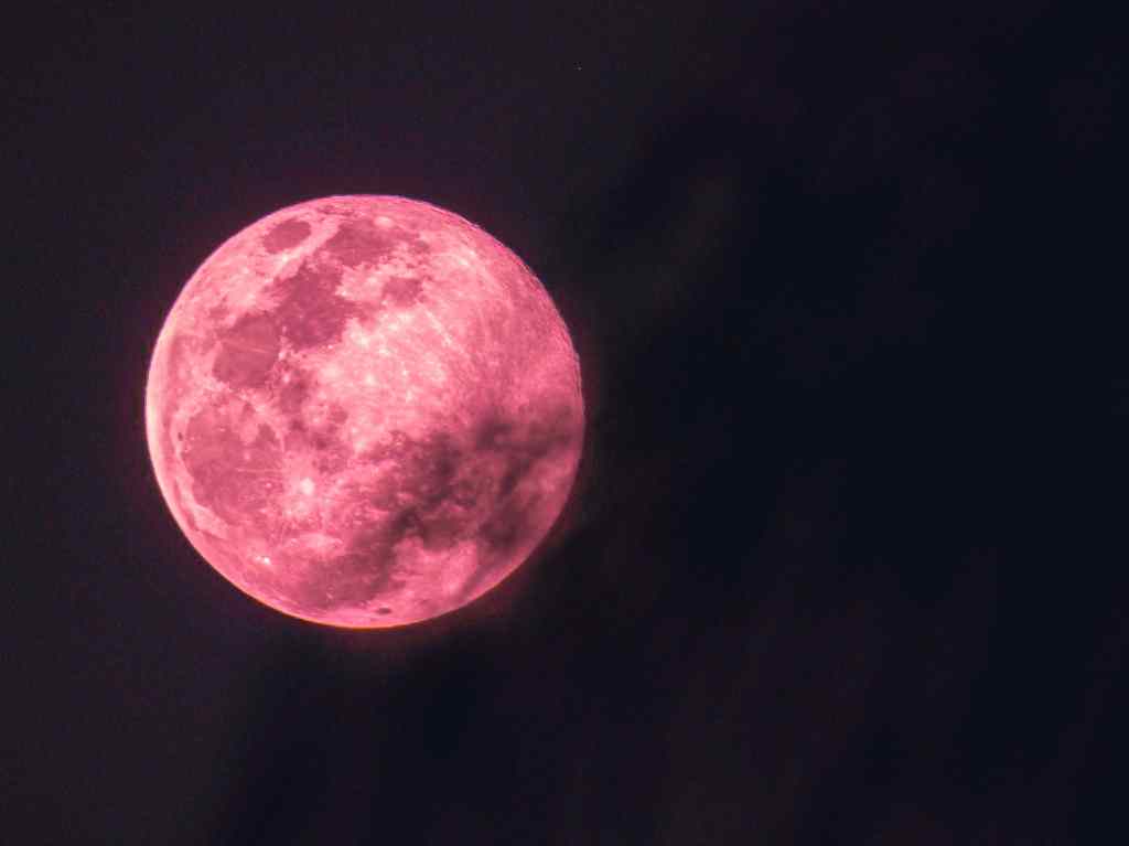 luna-fresa-1