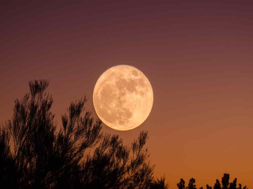 Cuándo y cómo ver la luna llena de nieve de febrero 2022