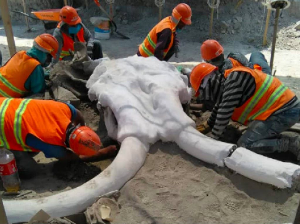 halan restos de mamut en aeropuerto santa lucia