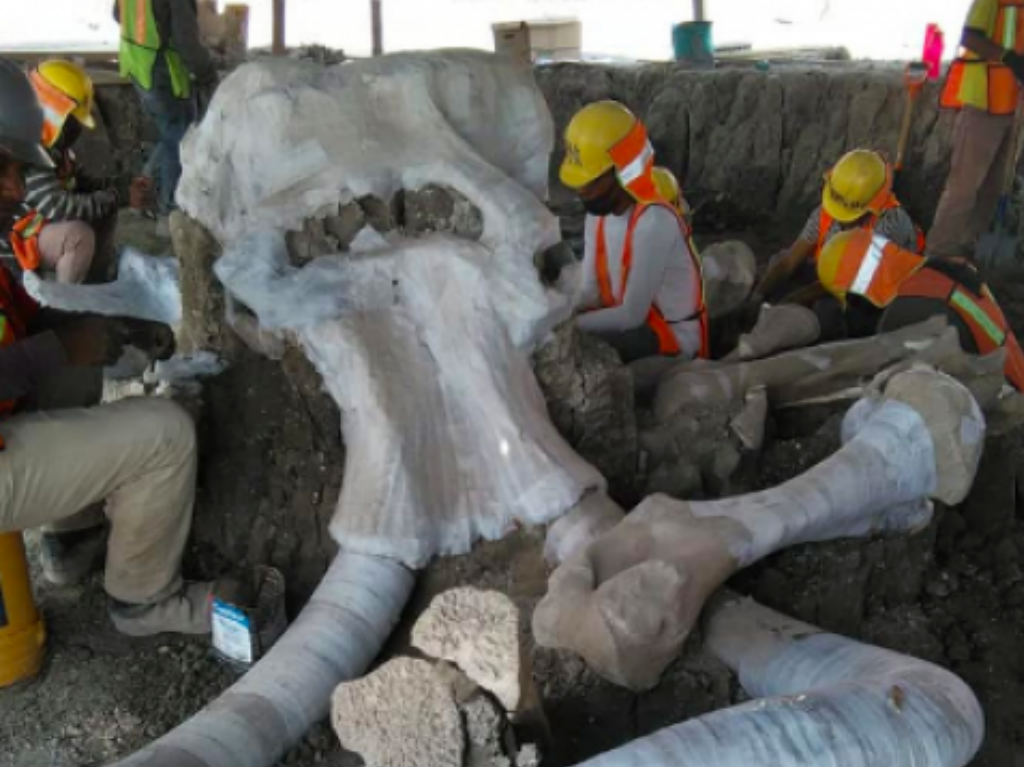 mamut restos en aeropuerto de santa lucia