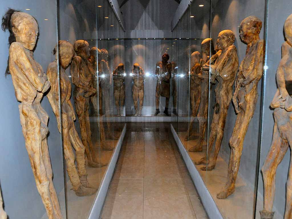 museo momias de guanajuato