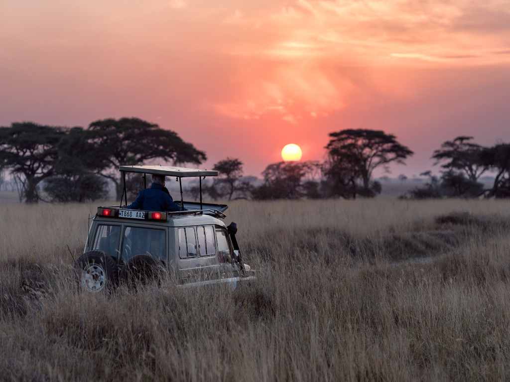 Disfruta de una aventura salvaje con este safari virtual en África 2