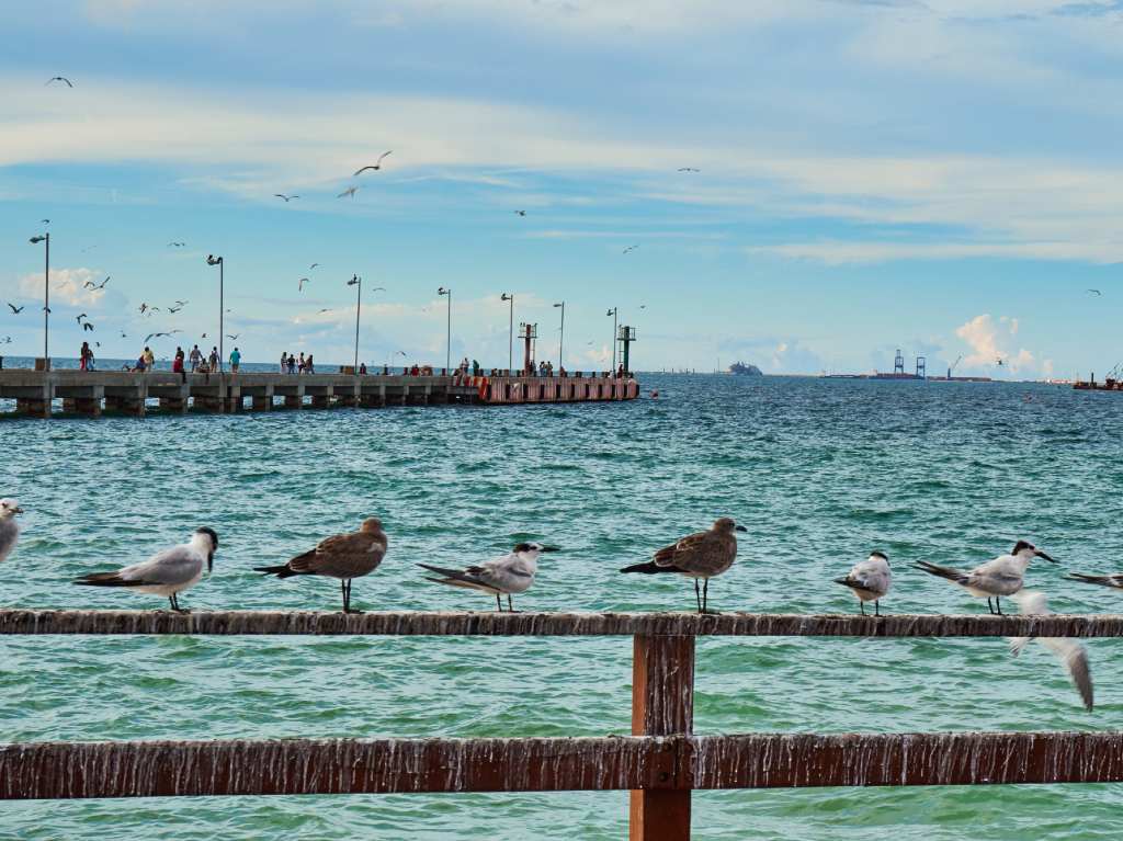 Viaja a Yucatán Puerto Progreso