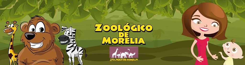 Zoológicos y museos para ver y vivir desde Facebook 0