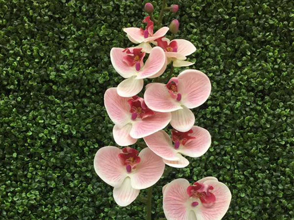 orquideas-rosedal-flores-artificiales
