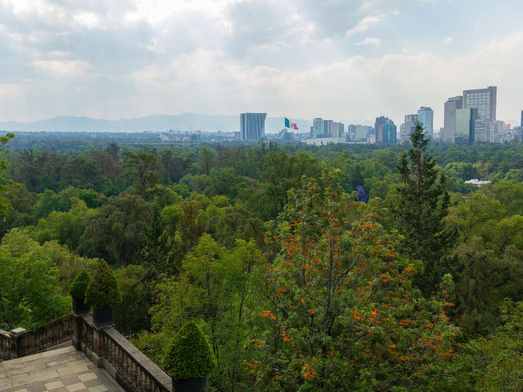 Calzada Flotante de CDMX bosque