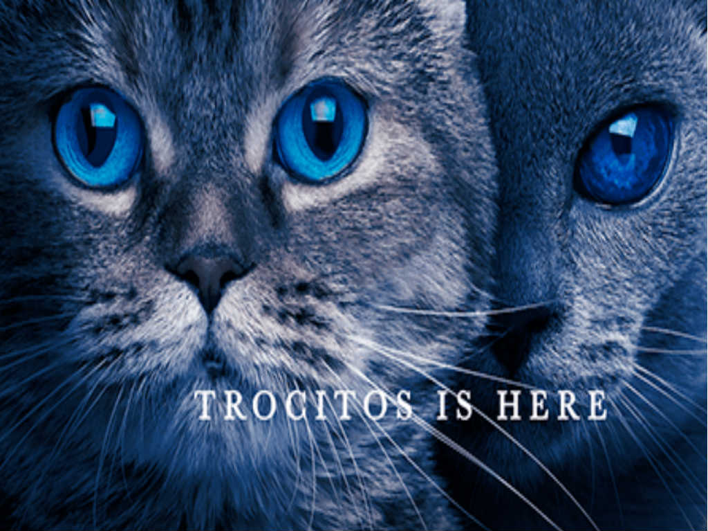 catflix-cat-of-thrones