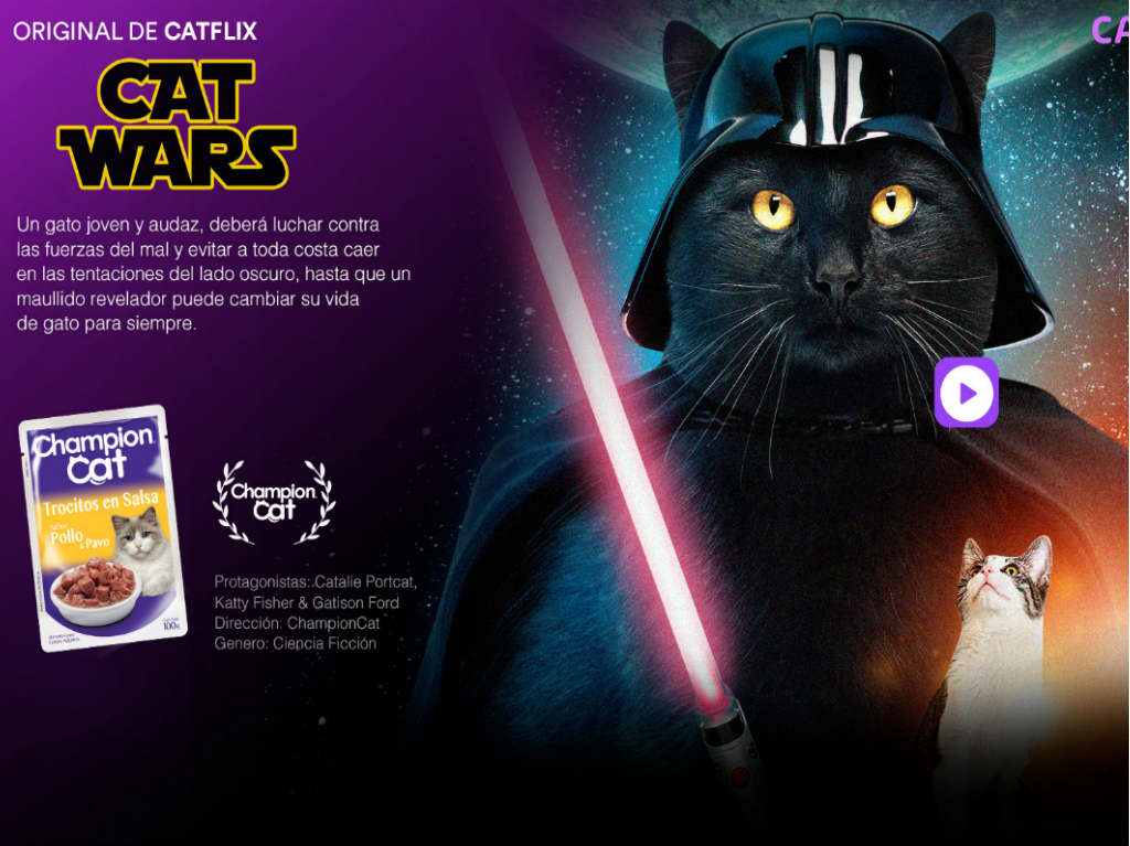 cat-wars en catflix