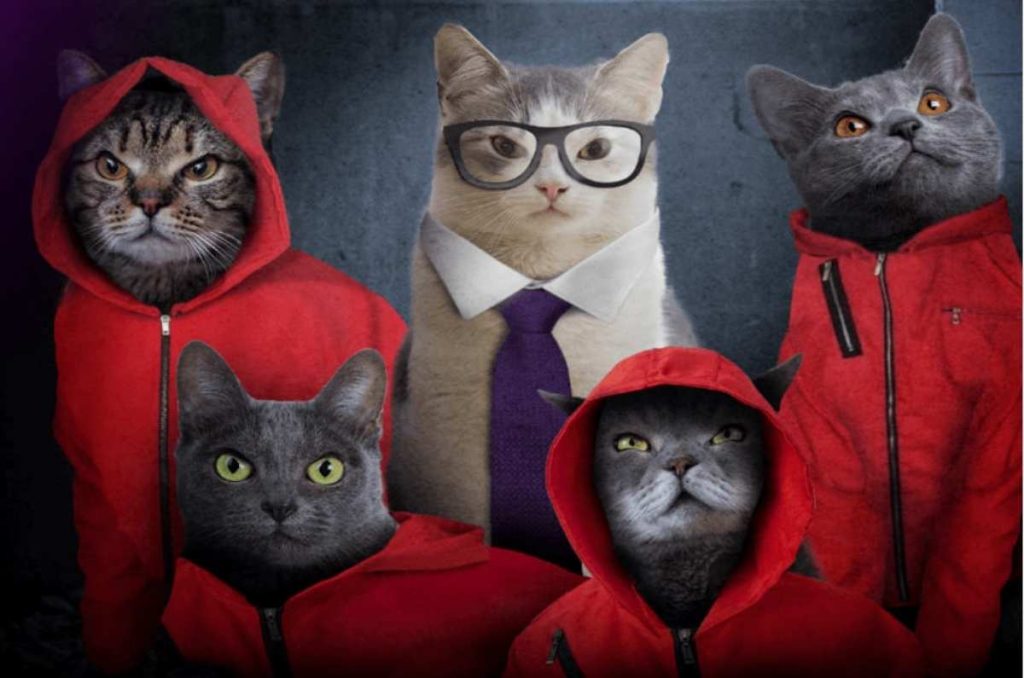 Catflix: ¡una plataforma de streaming exclusiva para gatos!