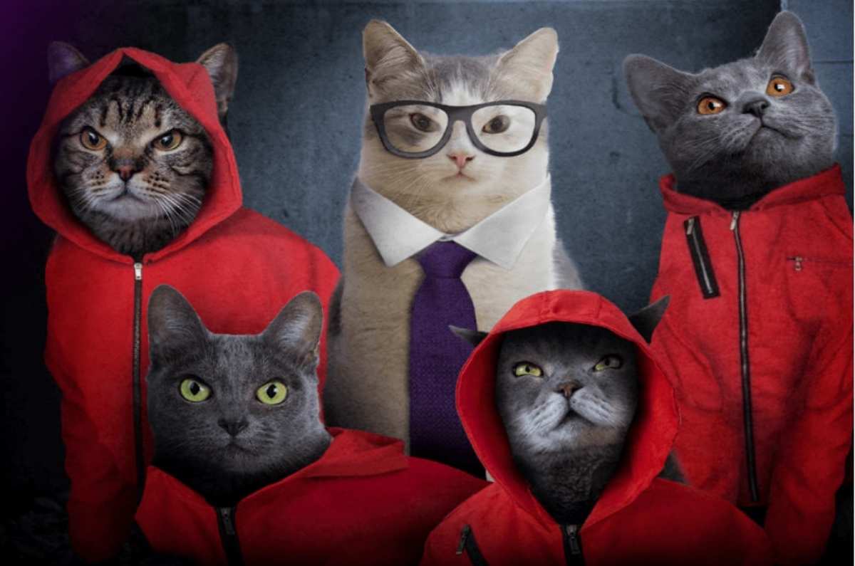 Catflix: ¡una plataforma de streaming exclusiva para gatos!