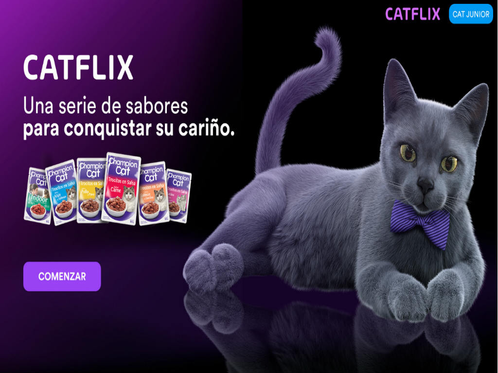 catflix la plataforma de streaming que es el netflix de los gatos