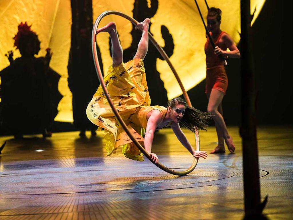Cirque du Soleil está en bancarrota aro