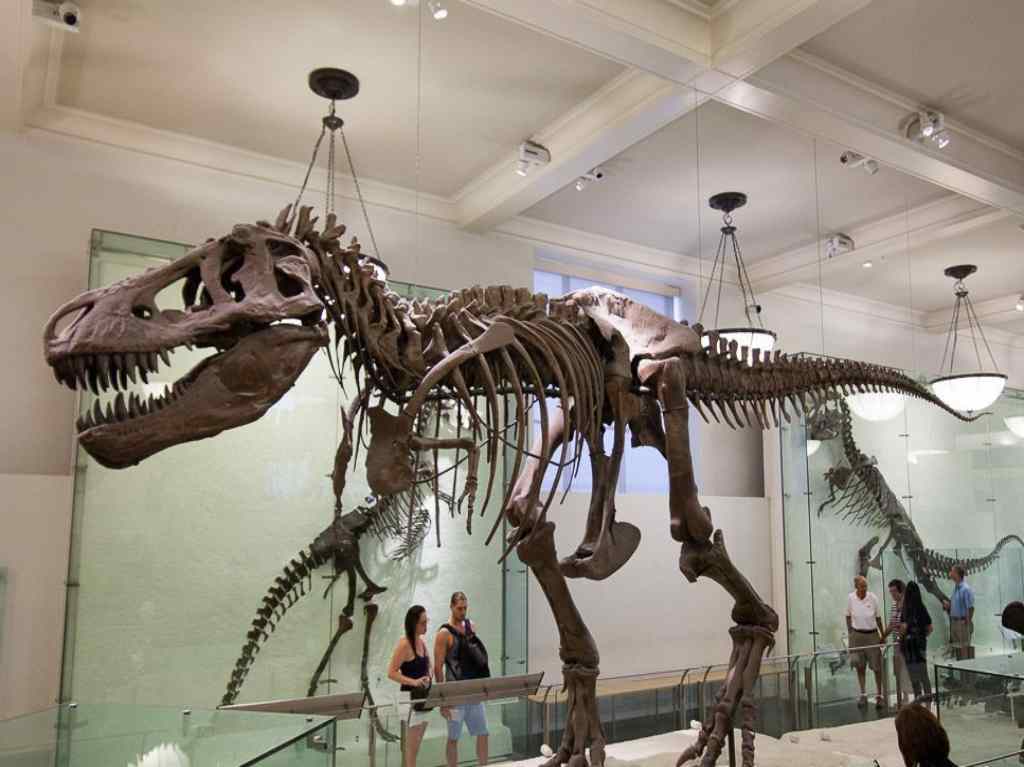 Conoce a lo dinosaurios del Museo Americano de Historia Natural