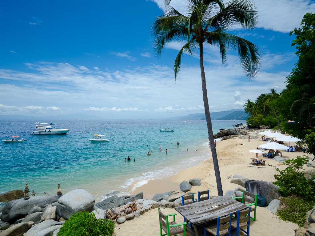 Puerto Vallarta Caballo