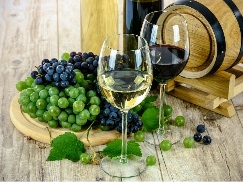 cata virtual de vinos