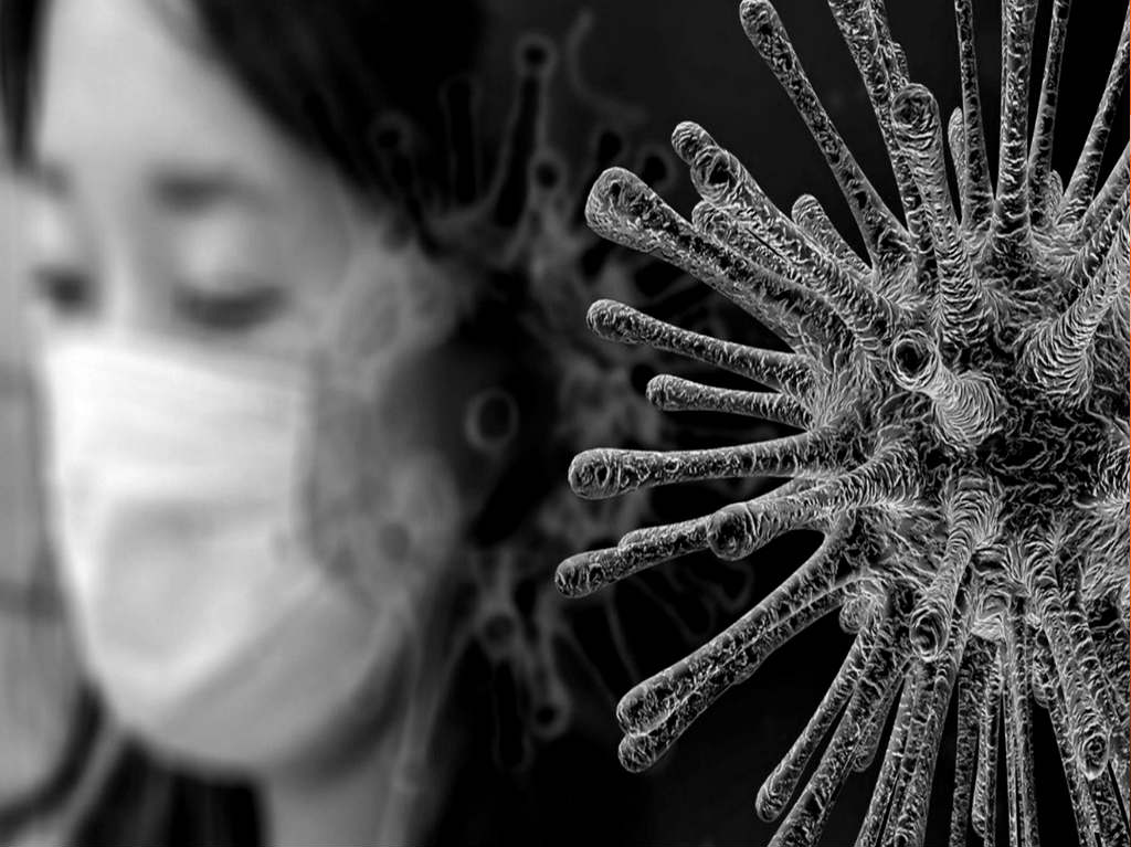documentales sobre coronavirus